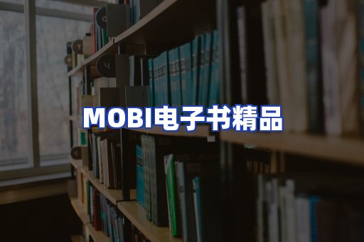 外文电子书产品